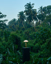 Tusker Table Lamp